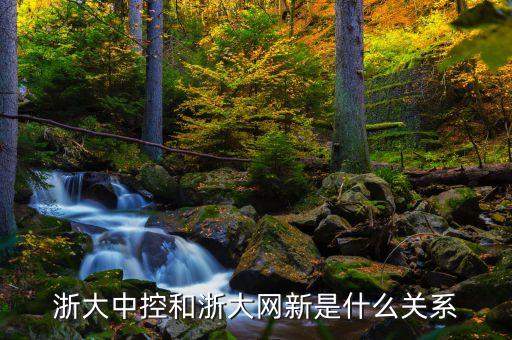 浙大網(wǎng)新做什么的，浙江浙大網(wǎng)新中研軟件有限公司怎么樣