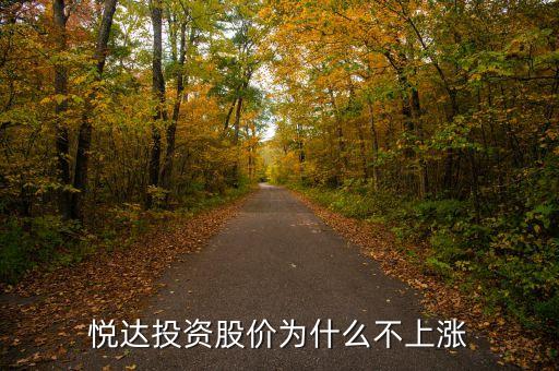 悅達(dá)投資股價(jià)為什么不上漲