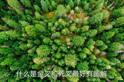 什么是死叉，五分鐘死叉頂背離是什么情況