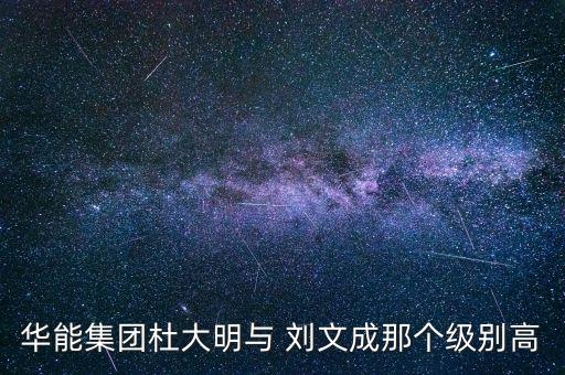 華能集團杜大明與 劉文成那個級別高
