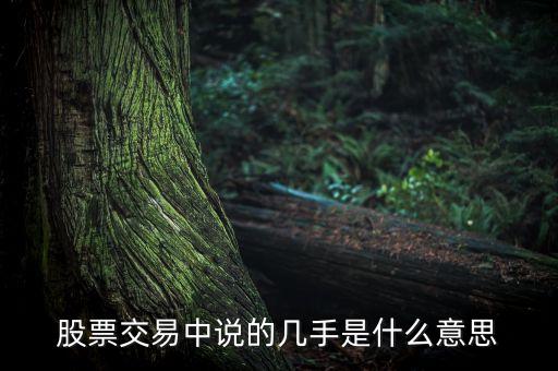 股票幾手是什么意思，股票的幾手是什么意思
