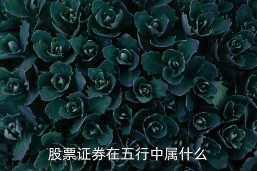 股票在五行中屬什么，股票證券在五行中屬什么