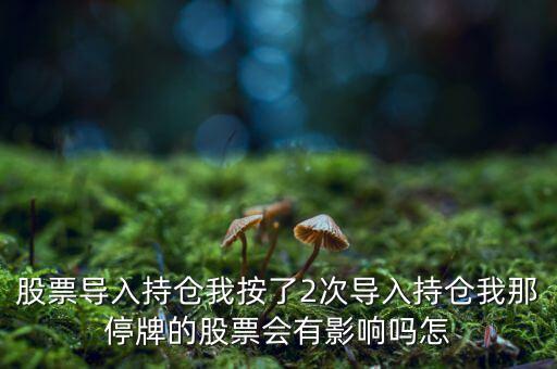 導(dǎo)入持倉(cāng)是指什么，股票導(dǎo)入持倉(cāng)我按了2次導(dǎo)入持倉(cāng)我那停牌的股票會(huì)有影響嗎怎