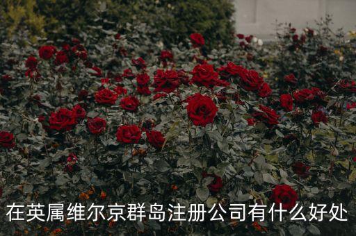 在英屬維爾京群島設立子公司有什么好處，設立子公司的好處有哪些