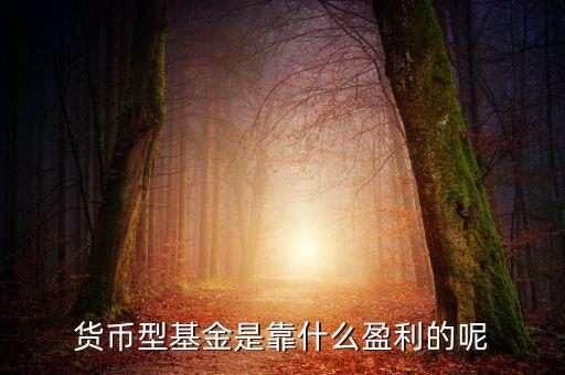 貨幣基金靠什么賺錢，貨幣基金主要是靠什么賺錢它的資金如何營運(yùn)