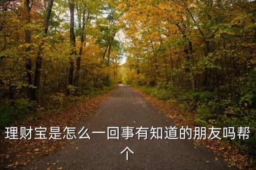 理財寶是怎么一回事有知道的朋友嗎幫個