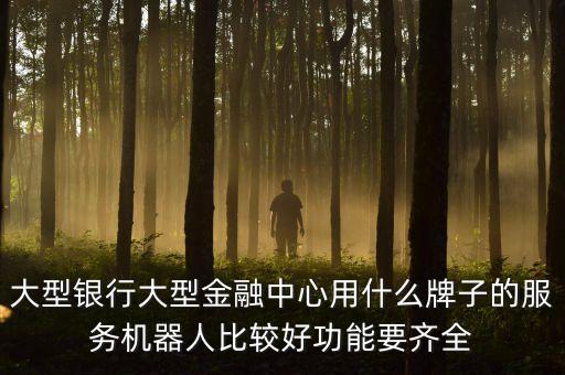 銀行超級柜臺什么品牌，大型銀行大型金融中心用什么牌子的服務機器人比較好功能要齊全