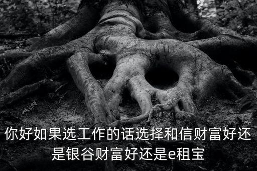 你好如果選工作的話選擇和信財富好還是銀谷財富好還是e租寶