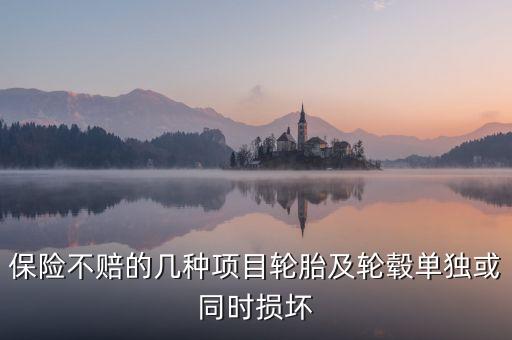 車輪單獨損壞是指什么，保險不賠的幾種項目輪胎及輪轂單獨或同時損壞