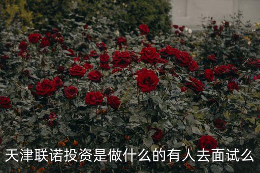天河聯(lián)盟投資是什么，廣州理財公司是真的