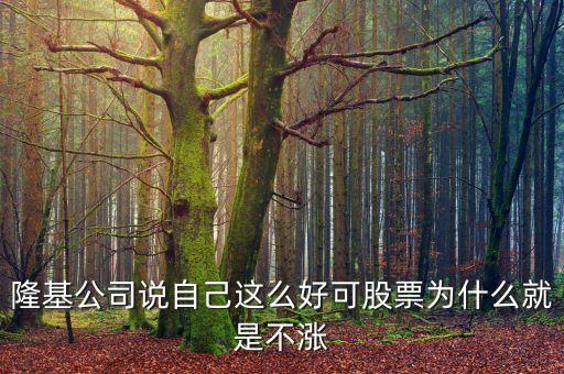 百隆東方為什么不漲，隆基公司說自己這么好可股票為什么就是不漲