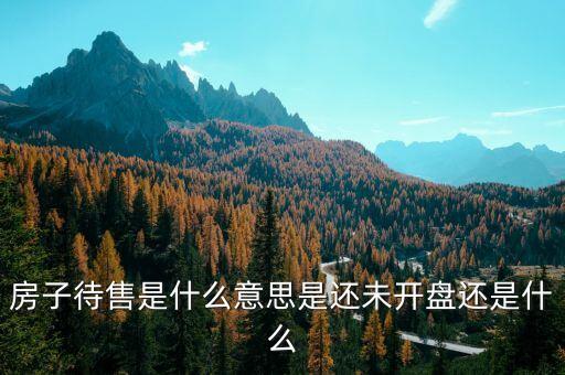待售房是什么意思，房子待售是什么意思是還未開盤還是什么