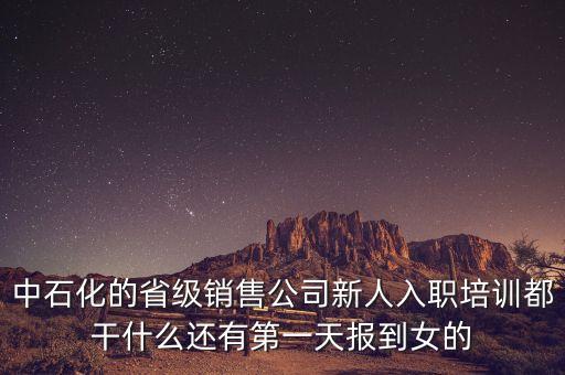 中石化的省級銷售公司新人入職培訓(xùn)都干什么還有第一天報到女的