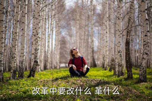 你認為我國改革的重心應是什么改，我國改革的任務決定了改革應是 A 經濟體制的改革 B 政治體制的改革