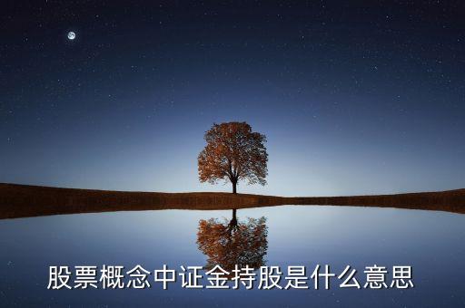 證金持股什么意思，股票概念中證金持股是什么意思