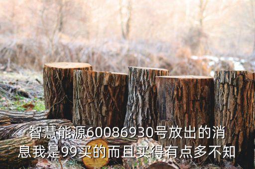智慧能源屬于什么概念股，智慧能源60086930號(hào)放出的消息我是99買的而且買得有點(diǎn)多不知
