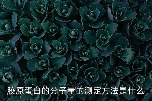 膠原蛋白用什么可以測試含量，膠原蛋白的分子量的測定方法是什么
