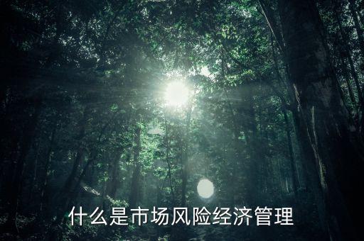 什么是市場(chǎng)風(fēng)險(xiǎn)，什么是市場(chǎng)風(fēng)險(xiǎn)經(jīng)濟(jì)管理