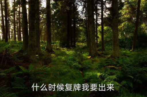 世紀(jì)瑞爾什么時候復(fù)牌，000560各位大神知道啥時候復(fù)牌