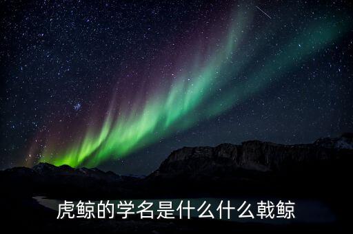 折戟鯨是什么，虎鯨的學(xué)名是什么什么戟鯨