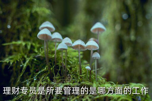 理財專員是做什么的，理財專員是所要管理的是哪方面的工作