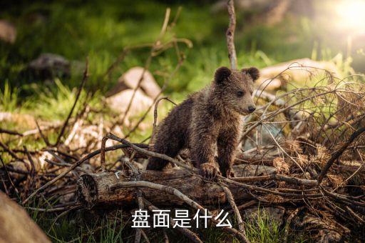 什么是盤面壓榨利潤，什么叫物理壓榨