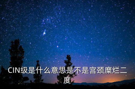 海泰宮靖是什么級(jí)別，CIN級(jí)是什么意思是不是宮頸糜爛二度