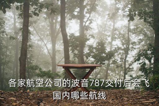國(guó)航787什么時(shí)候交付，國(guó)內(nèi)外有幾家航空公司擁有波音787的航空公司是哪幾家