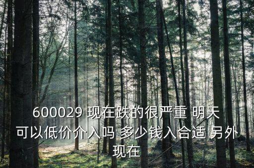 粵傳媒今天什么跌這么厲害，600029 現在跌的很嚴重 明天可以低價介入嗎 多少錢入合適 另外現在