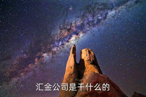 深圳惠程為什么匯金進(jìn)駐，匯金公司是怎么回事