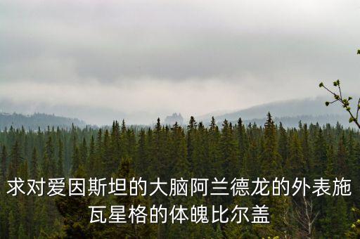 求對愛因斯坦的大腦阿蘭德龍的外表施瓦星格的體魄比爾蓋