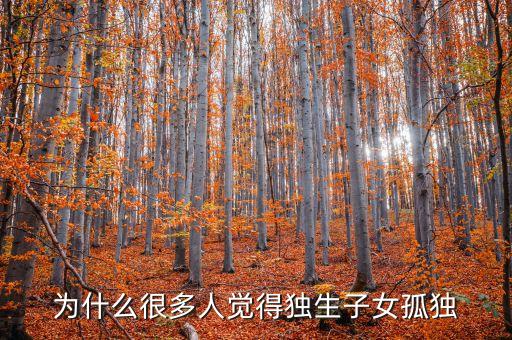 為什么很多人覺得獨生子女孤獨