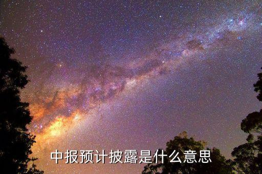 預先披露是什么意思，中報預計披露是什么意思