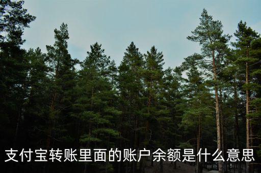 支付寶轉(zhuǎn)賬里面的賬戶余額是什么意思