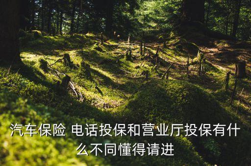 汽車保險 電話投保和營業(yè)廳投保有什么不同懂得請進