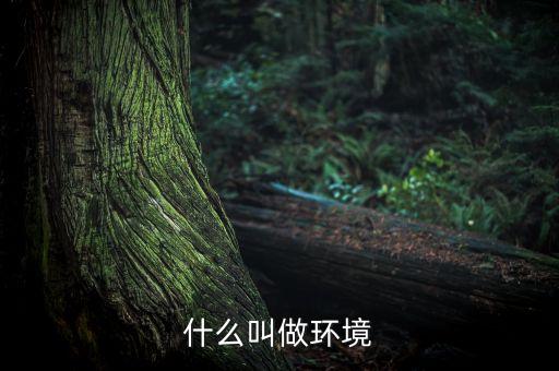什么叫做環(huán)境