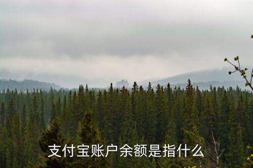 支付寶里的賬戶余額是什么意思，支付寶轉(zhuǎn)賬里面的賬戶余額是什么意思