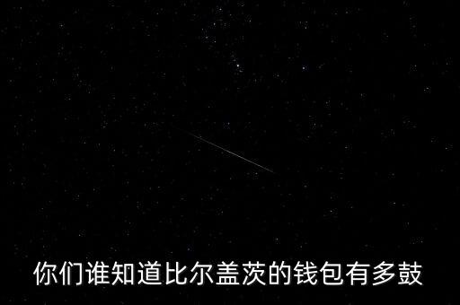 比爾蓋茨用什么錢包，求對愛因斯坦的大腦阿蘭德龍的外表施瓦星格的體魄比爾蓋