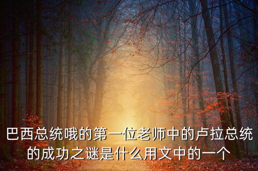 巴西總統(tǒng)哦的第一位老師中的盧拉總統(tǒng)的成功之謎是什么用文中的一個