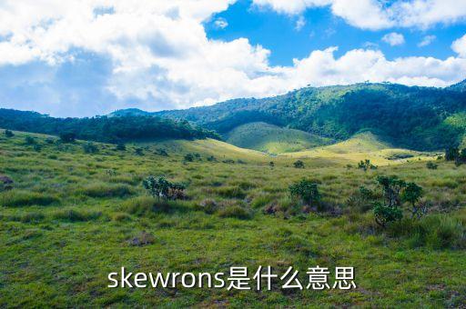 skewrons是什么品牌，伯思凱是什么牌子