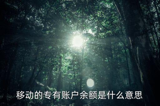 專有賬戶余額是什么意思，中國移動所說的專有帳戶余額是什么