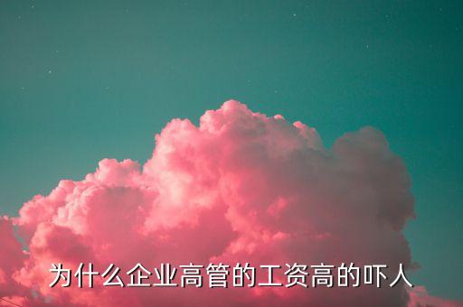 為什么有些高管年薪很高，為什么企業(yè)高管的工資高的嚇人