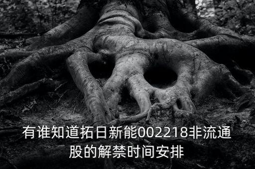 有誰(shuí)知道拓日新能002218非流通股的解禁時(shí)間安排