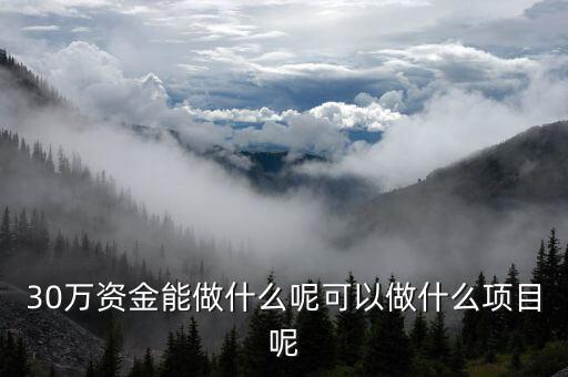 30萬上下投資什么項目，做生意投資30萬可以做什么