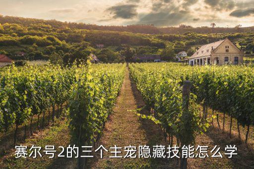 賽爾號(hào)2的三個(gè)主寵隱藏技能怎么學(xué)
