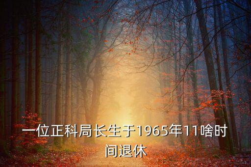 一位正科局長生于1965年11啥時(shí)間退休