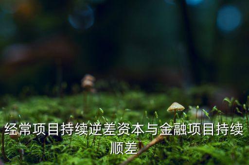 經(jīng)常項(xiàng)目持續(xù)逆差資本與金融項(xiàng)目持續(xù)順差