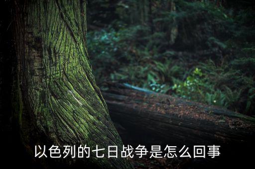 以色列世界小姐叫什么，根據(jù)對(duì)愛(ài)國(guó)是具體的的理解填空