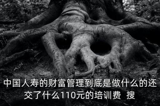 財富中國是做什么的，朝陽財富是做什么的