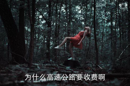 中國高速公路為什么要收費，為什么高速公路要收費啊